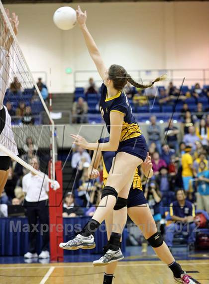 Thumbnail 2 in El Camino vs Gregori (CIF SJS D2 Final) photogallery.