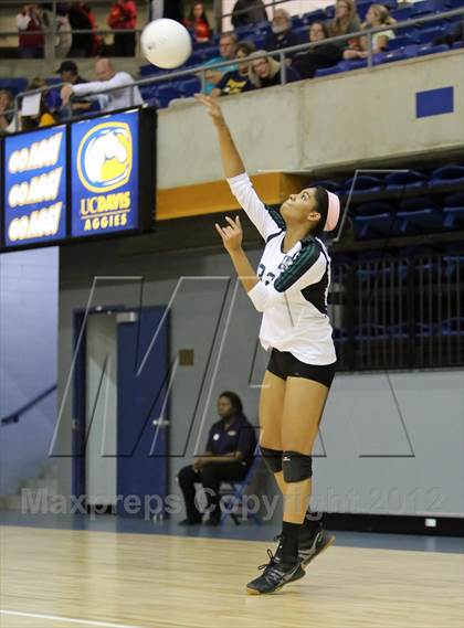 Thumbnail 3 in El Camino vs Gregori (CIF SJS D2 Final) photogallery.