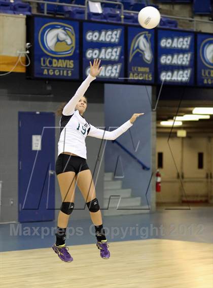 Thumbnail 1 in El Camino vs Gregori (CIF SJS D2 Final) photogallery.