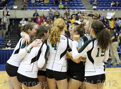 Thumbnail 1 in El Camino vs Gregori (CIF SJS D2 Final) photogallery.