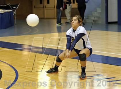 Thumbnail 1 in El Camino vs Gregori (CIF SJS D2 Final) photogallery.