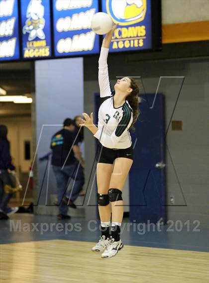 Thumbnail 2 in El Camino vs Gregori (CIF SJS D2 Final) photogallery.
