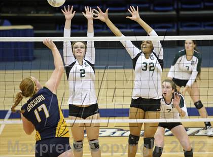 Thumbnail 2 in El Camino vs Gregori (CIF SJS D2 Final) photogallery.