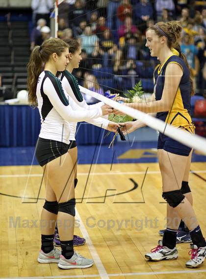 Thumbnail 1 in El Camino vs Gregori (CIF SJS D2 Final) photogallery.