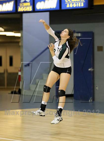 Thumbnail 3 in El Camino vs Gregori (CIF SJS D2 Final) photogallery.