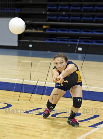 Thumbnail 2 in El Camino vs Gregori (CIF SJS D2 Final) photogallery.