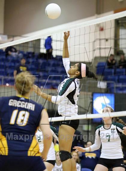 Thumbnail 1 in El Camino vs Gregori (CIF SJS D2 Final) photogallery.
