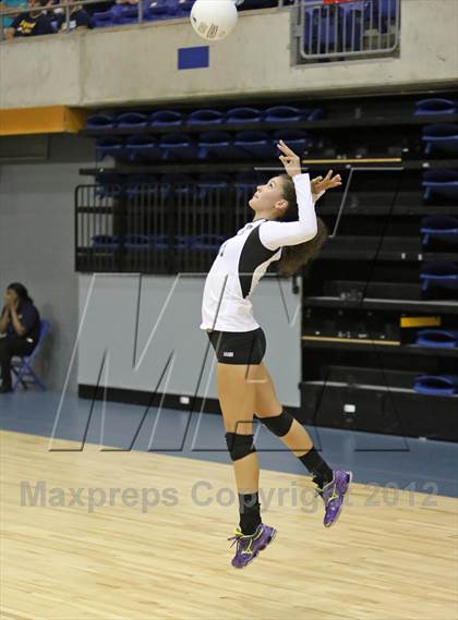 Thumbnail 1 in El Camino vs Gregori (CIF SJS D2 Final) photogallery.