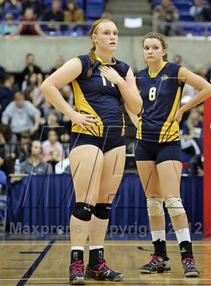 Thumbnail 1 in El Camino vs Gregori (CIF SJS D2 Final) photogallery.
