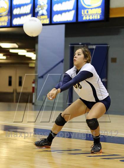 Thumbnail 3 in El Camino vs Gregori (CIF SJS D2 Final) photogallery.