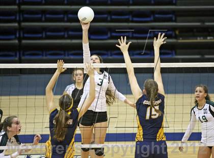 Thumbnail 1 in El Camino vs Gregori (CIF SJS D2 Final) photogallery.