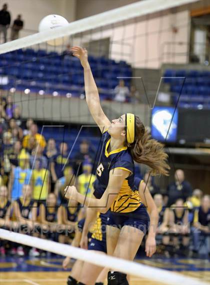 Thumbnail 1 in El Camino vs Gregori (CIF SJS D2 Final) photogallery.