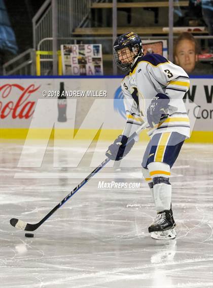 Thumbnail 1 in Victor vs. Massena (NYSPHSAA D1 Semifinal) photogallery.