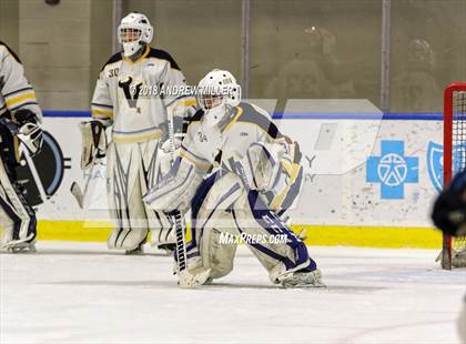 Thumbnail 1 in Victor vs. Massena (NYSPHSAA D1 Semifinal) photogallery.