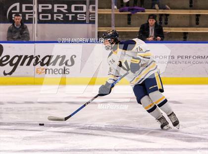 Thumbnail 1 in Victor vs. Massena (NYSPHSAA D1 Semifinal) photogallery.