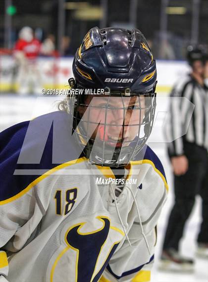 Thumbnail 1 in Victor vs. Massena (NYSPHSAA D1 Semifinal) photogallery.