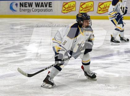 Thumbnail 3 in Victor vs. Massena (NYSPHSAA D1 Semifinal) photogallery.