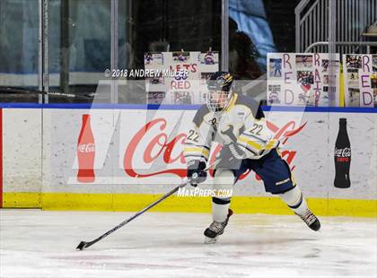 Thumbnail 1 in Victor vs. Massena (NYSPHSAA D1 Semifinal) photogallery.