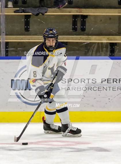 Thumbnail 3 in Victor vs. Massena (NYSPHSAA D1 Semifinal) photogallery.