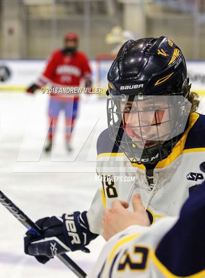 Thumbnail 3 in Victor vs. Massena (NYSPHSAA D1 Semifinal) photogallery.