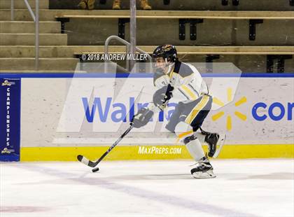 Thumbnail 2 in Victor vs. Massena (NYSPHSAA D1 Semifinal) photogallery.