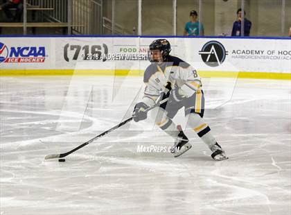 Thumbnail 3 in Victor vs. Massena (NYSPHSAA D1 Semifinal) photogallery.