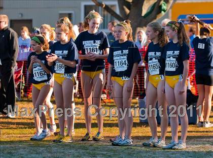 Thumbnail 1 in NYSHSAA Championships (Class AA and A Girls) photogallery.