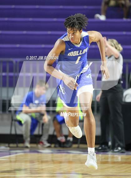 Thumbnail 1 in Archbishop Molloy vs. John Marshall (City of Palms Classic) photogallery.