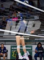 Photo from the gallery "Tatum vs. New Diana (UIL 3A Bi-District)"