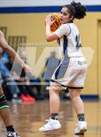 Photo from the gallery "Pine Forest @ E.E. Smith"