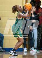 Photo from the gallery "Pine Forest @ E.E. Smith"