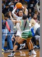 Photo from the gallery "Pine Forest @ E.E. Smith"