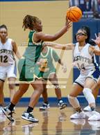 Photo from the gallery "Pine Forest @ E.E. Smith"