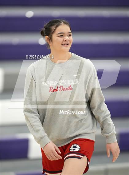Thumbnail 3 in Springville @ Lehi photogallery.