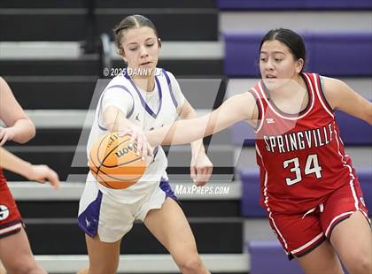 Thumbnail 1 in Springville @ Lehi photogallery.