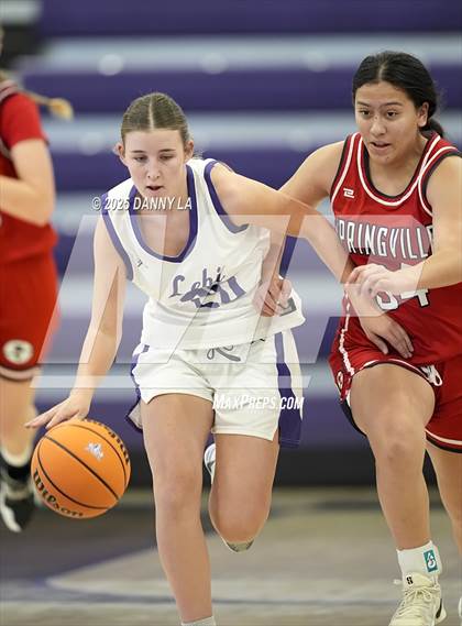 Thumbnail 1 in Springville @ Lehi photogallery.