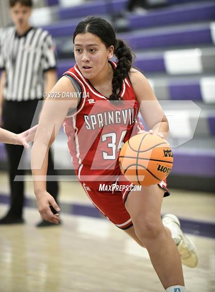 Thumbnail 3 in Springville @ Lehi photogallery.