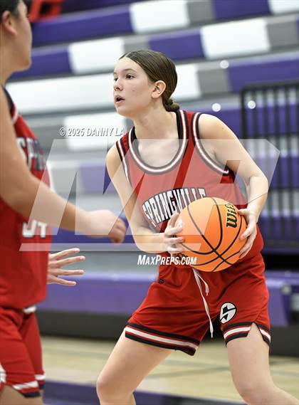 Thumbnail 3 in Springville @ Lehi photogallery.
