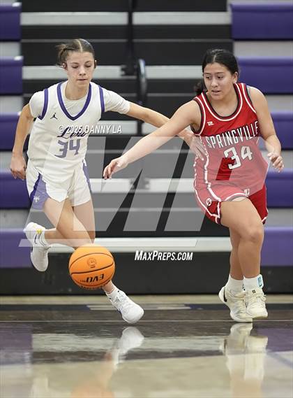 Thumbnail 2 in Springville @ Lehi photogallery.