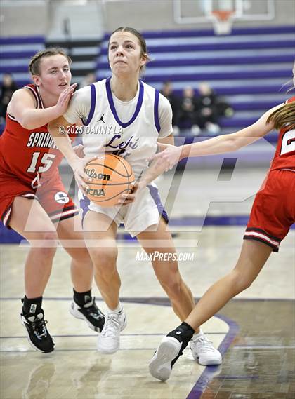 Thumbnail 3 in Springville @ Lehi photogallery.
