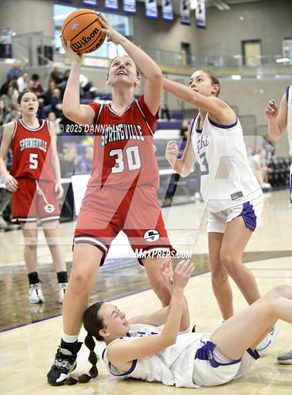 Thumbnail 3 in Springville @ Lehi photogallery.