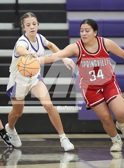 Thumbnail 2 in Springville @ Lehi photogallery.