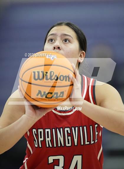 Thumbnail 1 in Springville @ Lehi photogallery.