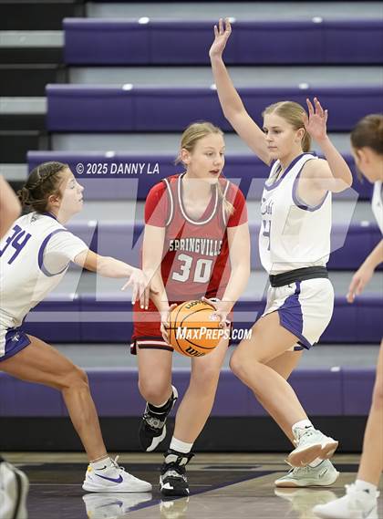Thumbnail 3 in Springville @ Lehi photogallery.
