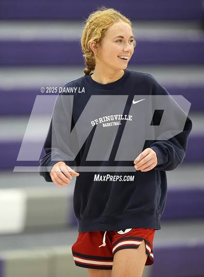 Thumbnail 1 in Springville @ Lehi photogallery.