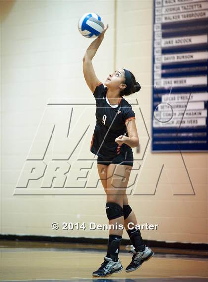 Thumbnail 3 in Kell vs. Pope photogallery.