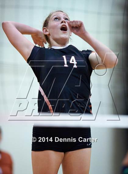 Thumbnail 2 in Kell vs. Pope photogallery.