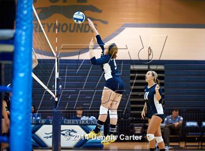 Thumbnail 2 in Kell vs. Pope photogallery.