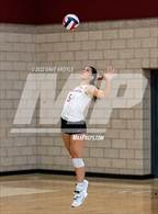 Photo from the gallery "Madison @ Mountain View (5A/6A Volleyball Challenge)"
