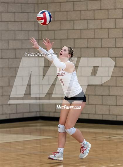 Thumbnail 1 in Madison @ Mountain View (5A/6A Volleyball Challenge) photogallery.